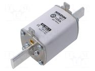 Fuse: fuse; 125A; 800VAC; gG; industrial; NH1 NIKDIM LTD