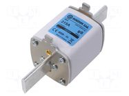 Fuse: fuse; 315A; 800VAC; gS; industrial; NH2 NIKDIM LTD