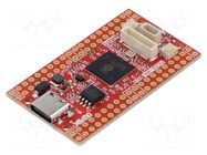 Dev.kit: Raspberry; prototype board; Comp: RP2350; 2MBFLASH OLIMEX