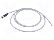 Connector: M12; plug; female; PIN: 5; straight; cables; 2m HARTING