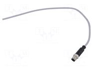 Connector: M12; plug; male; PIN: 4; straight; cables; 0.5m HARTING