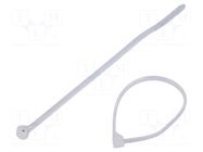 Cable tie; with a metal clasp; L: 92mm; W: 2.3mm; natural; 80N ABB