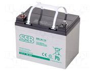 Re-battery: acid-lead; 12V; 36Ah; AGM; 192x130x168mm SSB
