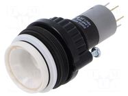 Switch: body; 30mm; Stabl.pos: 1; NO x2; 14; Pos: 2 EAO