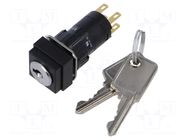 Switch: rotary with key; 16mm; Stabl.pos: 2; NC + NO; 51; Pos: 2 EAO