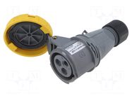 Connector: AC supply 3-phase; plug; female; PIN: 3; 16A; 130V; IP&S AMPHENOL