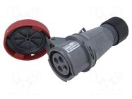 Connector: AC supply 3-phase; plug; female; PIN: 4; 16A; 415V; IP&S AMPHENOL