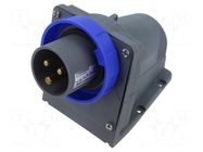 Connector: AC supply 3-phase; socket; male; 16A; 250VAC; 250V; IP&S AMPHENOL