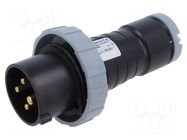Connector: AC supply 3-phase; plug; male; PIN: 4; 16A; IP&S; IP69K AMPHENOL