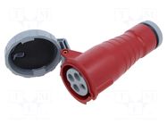 Connector: AC supply 3-phase; plug; female; PIN: 4; 16A; 415V; IP&S AMPHENOL