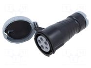 Connector: AC supply 3-phase; plug; female; PIN: 5; 16A; IP&S; IP69K AMPHENOL