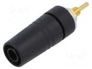Connector: 4mm banana; socket; 24A; 1kV; black; gold-plated; 43mm HIRSCHMANN T&M