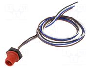 Connector: M12; socket; male; 4A; 250V; PIN: 4; IP67; straight; cables LUTRONIC