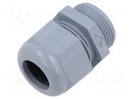 Cable gland; PG21; polyamide; grey ILME