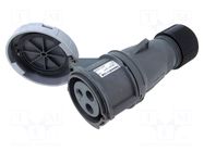 Connector: AC supply 3-phase; plug; female; PIN: 3; 32A; IP&S; IP67 AMPHENOL