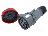 Connector: AC supply 3-phase; plug; female; PIN: 4; 32A; 460V; IP&S AMPHENOL