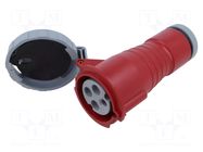 Connector: AC supply 3-phase; plug; female; PIN: 4; 32A; 415V; IP&S AMPHENOL