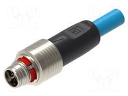Cable: for sensors/automation; M12; PIN: 8; straight; 5m; plug; 0.5A LUMBERG AUTOMATION
