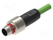 Cable: for sensors/automation; M12; PIN: 4; straight; 5m; plug; 4A LUMBERG AUTOMATION
