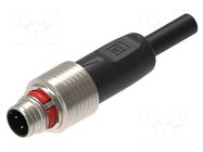 Cable: for sensors/automation; M12; PIN: 4; straight; 5m; plug; 4A LUMBERG AUTOMATION