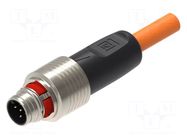 Cable: for sensors/automation; M12; PIN: 5; straight; 3m; plug; 4A LUMBERG AUTOMATION