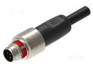 Cable: for sensors/automation; M12; PIN: 5(4+1); straight; 3m; plug LUMBERG AUTOMATION