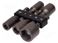 Kit: screwdriver bits; 6-angles socket; Holder: E6,3mm; 1/4" IRIMO