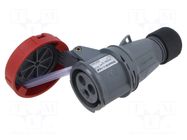 Connector: AC supply 3-phase; plug; female; PIN: 3; 16A; 415V; IP&S AMPHENOL