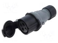 Connector: AC supply 3-phase; plug; female; PIN: 4; 16A; IP&S; IP44 AMPHENOL