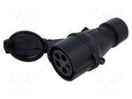 Connector: AC supply 3-phase; plug; female; PIN: 5; 16A; 415V; IP&S AMPHENOL
