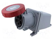 Connector: AC supply 3-phase; socket; female; 60A,63A; 415VAC AMPHENOL