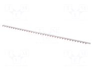 Busbar; 16mm2; Poles: 1; Urated: 400V; Pitch: 27mm; No.of mod: 36 PAWBOL