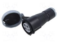 Connector: AC supply 3-phase; plug; female; PIN: 4; 32A; IP&S; IP69K AMPHENOL