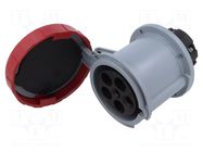 Connector: AC supply 3-phase; socket; female; 63A; 415V; IP&S AMPHENOL