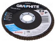 Flap grinding wheels; Ø: 125mm; Øhole: 22.2mm; Granularity: 100 GRAPHITE