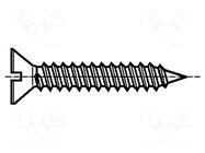 Screw; 2.9x16; Head: countersunk; slotted; 0.8mm; BN 693 BOSSARD