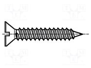 Screw; 2.9x16; Head: countersunk; slotted; 0,8mm; BN 693 BOSSARD