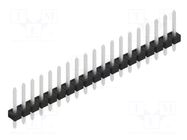 Connector: pin strips; pin header; male; PIN: 19; 3A; 250V; THT; 1x19 FISCHER ELEKTRONIK