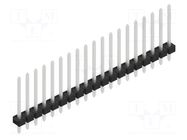 Connector: pin strips; pin header; male; PIN: 19; 3A; 250V; THT; 1x19 FISCHER ELEKTRONIK