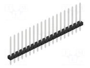 Connector: pin strips; pin header; male; PIN: 19; 3A; 100V; THT; 2mm FISCHER ELEKTRONIK
