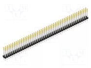 Connector: pin strips; pin header; male; PIN: 94; 3A; 100V; THT; 2mm FISCHER ELEKTRONIK