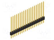 Connector: pin strips; pin header; male; PIN: 19; 1.5A; 125V; THT FISCHER ELEKTRONIK