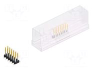 Connector: pin strips; pin header; male; PIN: 12; 3A; 100V; SMT; 2mm FISCHER ELEKTRONIK