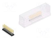 Connector: pin strips; pin header; male; PIN: 18; 3A; 100V; SMT; 2mm FISCHER ELEKTRONIK