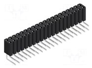 Connector: pin strips; socket; female; PIN: 40; BL 4; 3A; 125V; THT FISCHER ELEKTRONIK