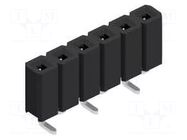Connector: pin strips; socket; female; PIN: 6; BL LP 5 SMD; 3A; 125V FISCHER ELEKTRONIK
