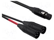 Cable; XLR male 3pin x2,XLR female 3pin; 1m; black; PVC REDS MUSIC
