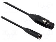 Cable; XLR mini male,XLR female 3pin; 1m; black; Øcable: 4.5mm REDS MUSIC