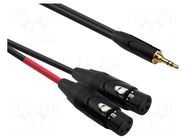 Cable; Jack 3.5mm plug,XLR female 3pin x2; 2m; black; PVC REDS MUSIC