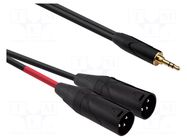 Cable; Jack 3.5mm plug,XLR male 3pin x2; 1m; black; PVC REDS MUSIC